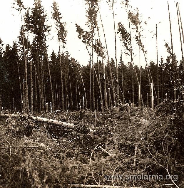 31 - Argonnerwald A.jpg